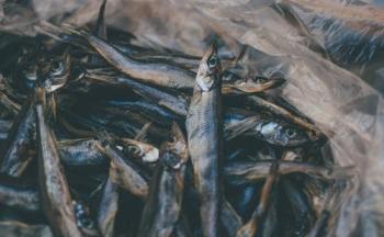 Hvordan tilberede makrell